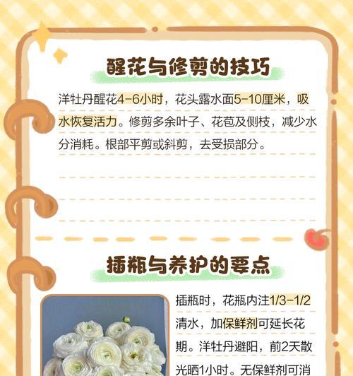 牡丹花的养护技巧有哪些？