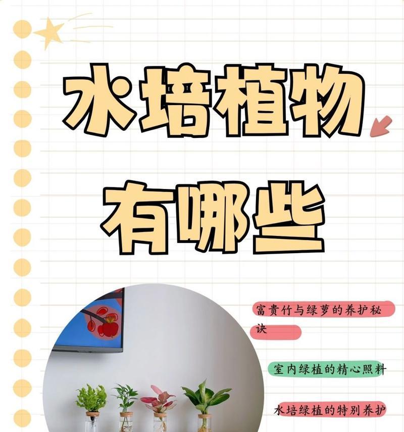 水培植物的制作步骤有哪些？