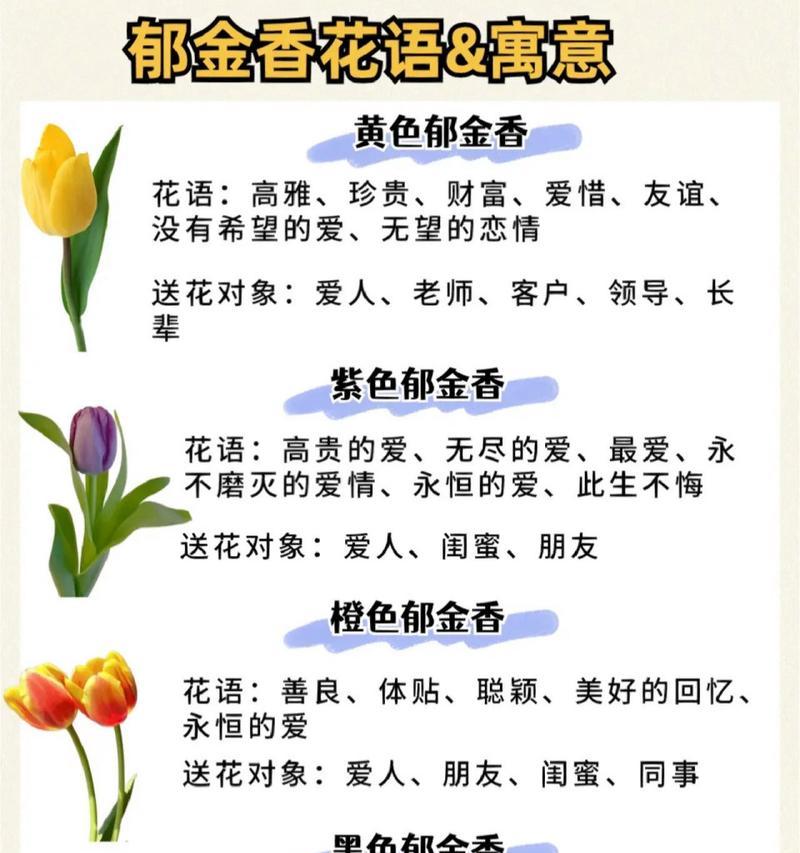 郁金香的养殖技巧和注意事项是什么？