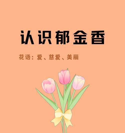 郁金香有多少品种名称？它们的花语分别是什么？