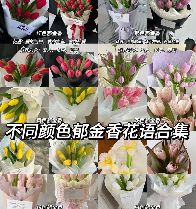 郁金香有多少品种名称？它们的花语分别是什么？
