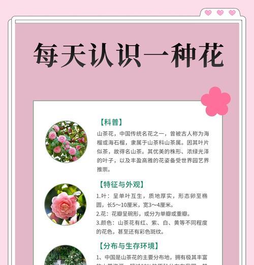 观赏花木的定义是什么？