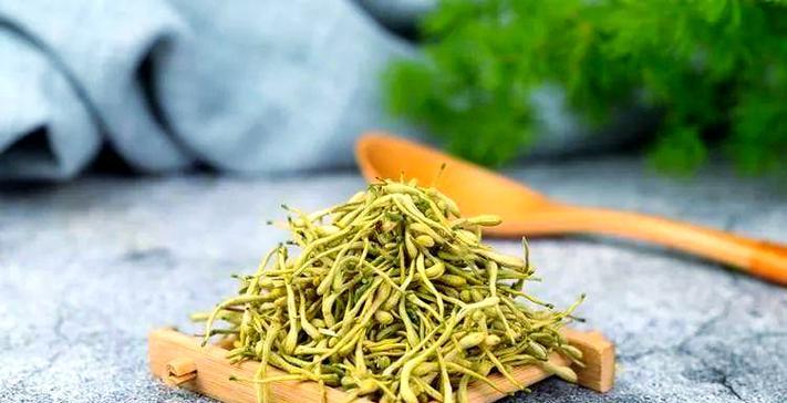 金银花是什么植物？它的药用价值有哪些？