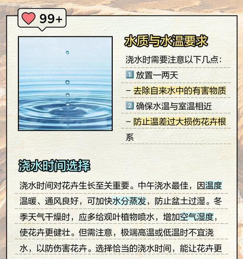 大花盆浇水的正确方法是什么？
