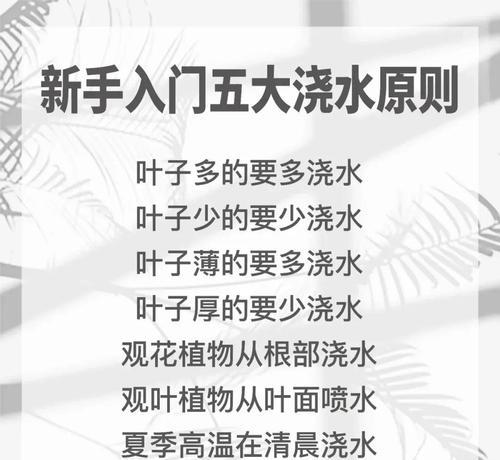 大花盆浇水的正确方法是什么？