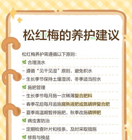 土壤种植指南：哪些植物最适合在土壤中生长？