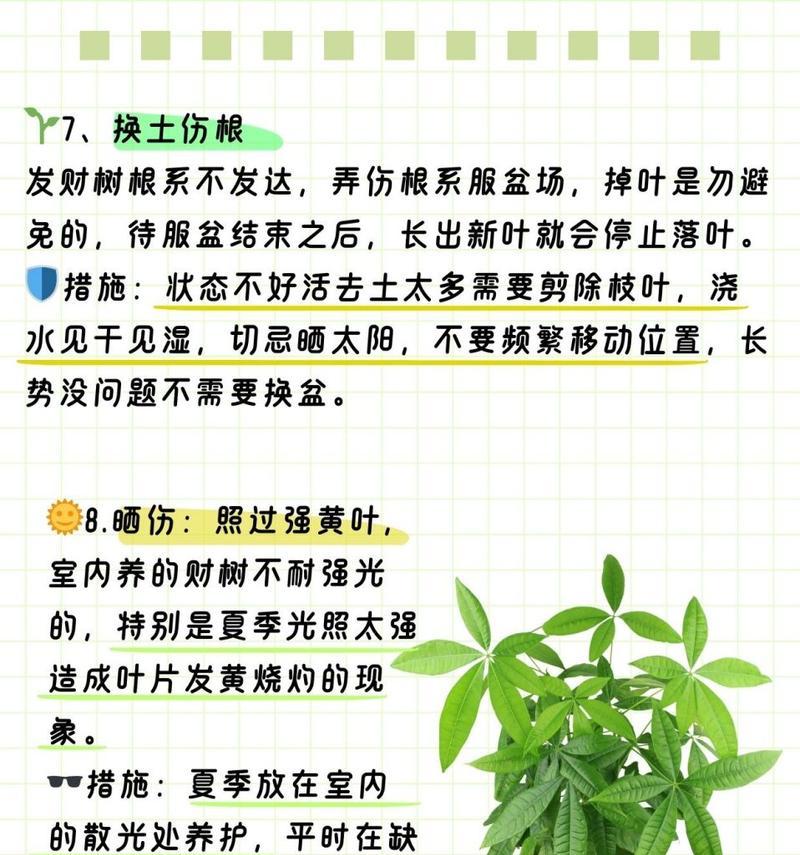 植物叶子枯萎的常见原因是什么？如何预防植物叶子枯萎？