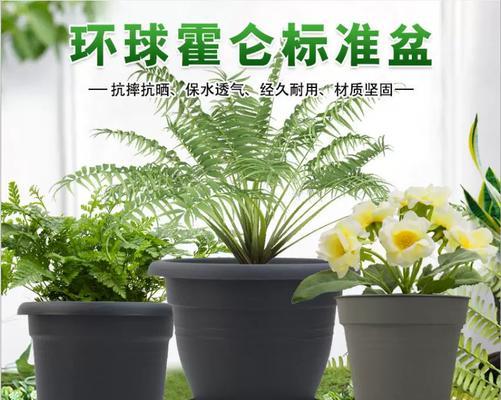 加仑盆的定义及其用途？