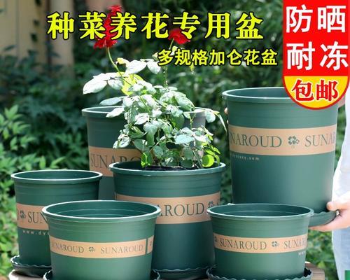 加仑盆的定义及其用途？