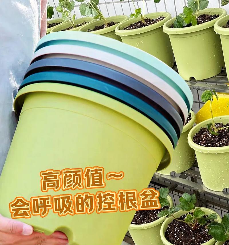 加仑盆的定义及其用途？