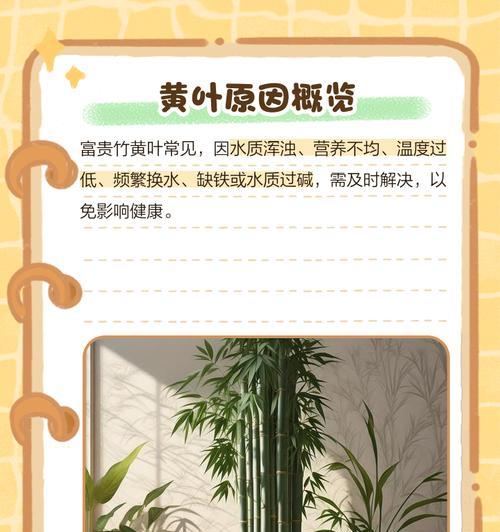 水养富贵竹黄叶如何处理？有哪些有效方法？