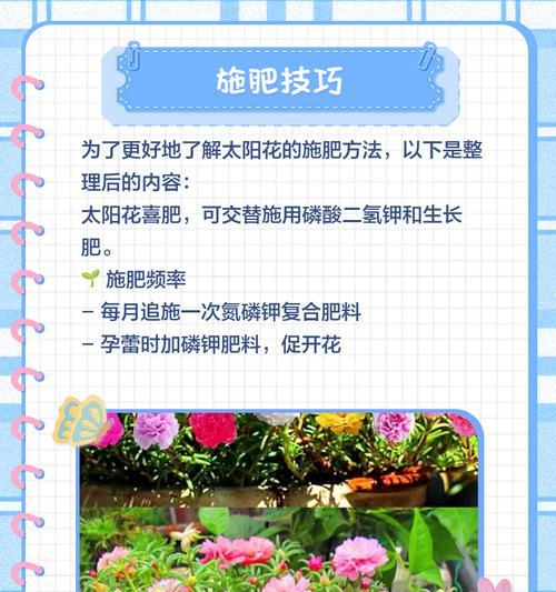 向日葵幼苗期的养护指南是什么？