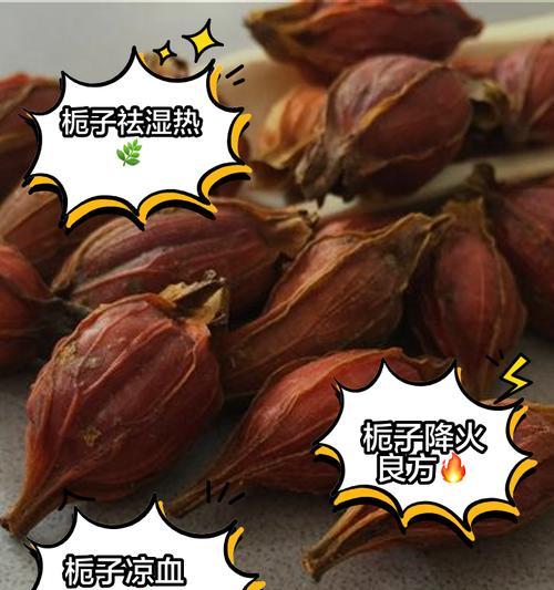 栀子花烂根了怎么办？如何进行根部治疗？