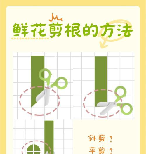 落地生根修剪技巧和注意事项？
