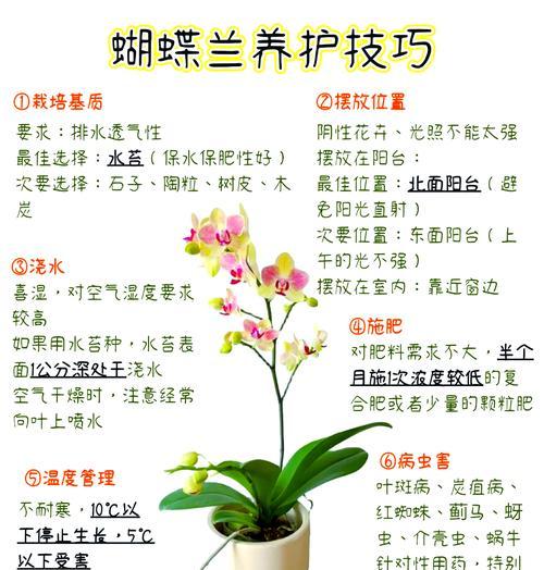 兰草的正确养殖技巧是什么？