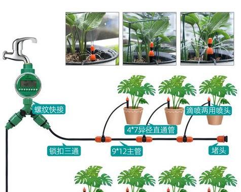 用什么浇花好？选择合适的浇花方法和材料有哪些？