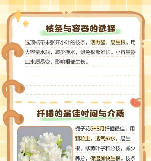 栀子花生根困难怎么办？
