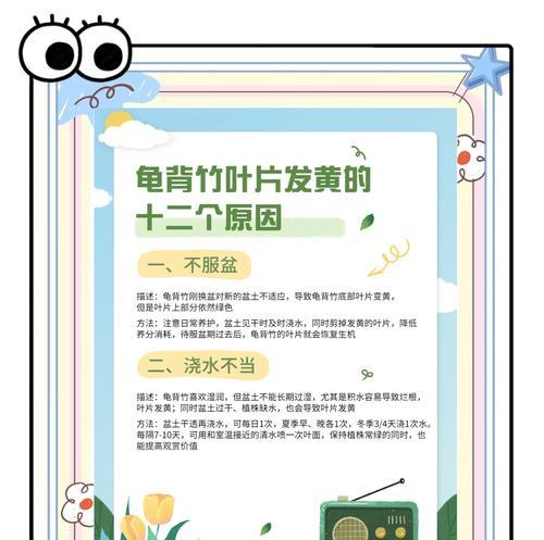 竹子叶子变黄的原因是什么？如何预防和处理？