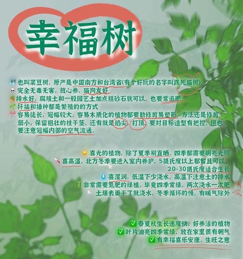 古树养护需要注意哪些问题？