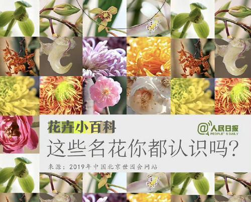 花卉品种有哪些？花卉名称及特点全解析！