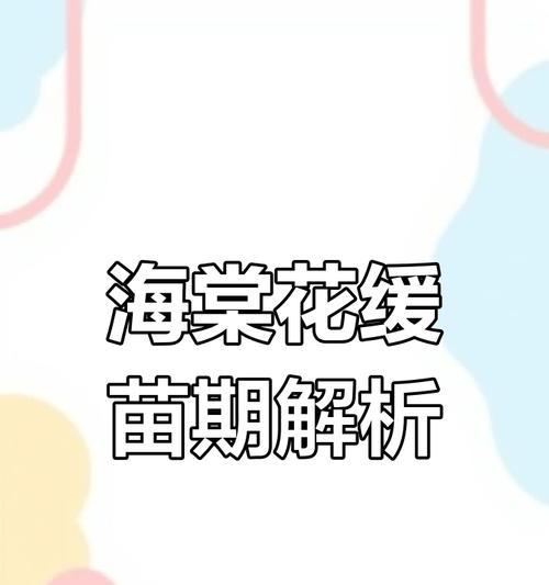 木兰花的养护技巧有哪些？