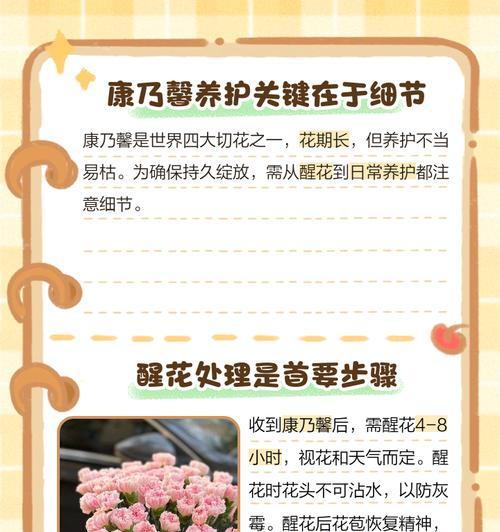 怎么养康乃馨？康乃馨的养殖技巧有哪些？