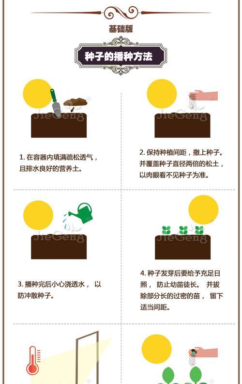 神香草种子种植的正确方法是什么？