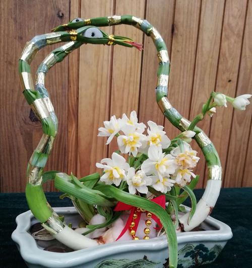 水仙花雕刻的技巧和注意事项？